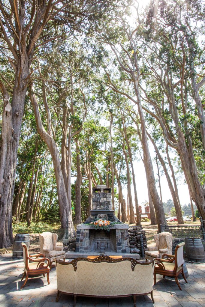 Eucalyptus Trees Spring Ranch Wedding Mendocino
