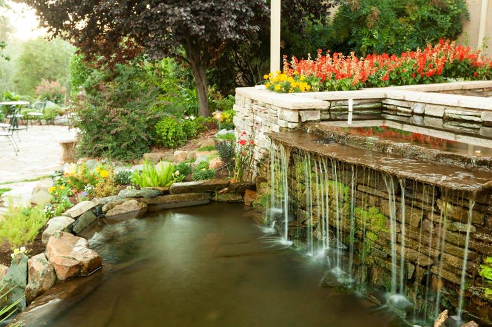 Gold Hill Gardens, Auburn, Placer County, CA Koi pond and waterfalls.