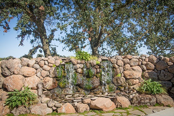 Evergreen Springs Waterfall on the Courtyard