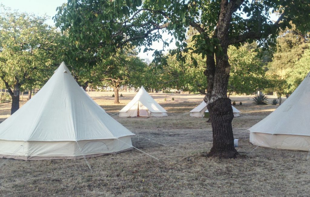 Triple S Ranch in Napa Valley. Glamping under walnut trees. The Venue Vixens