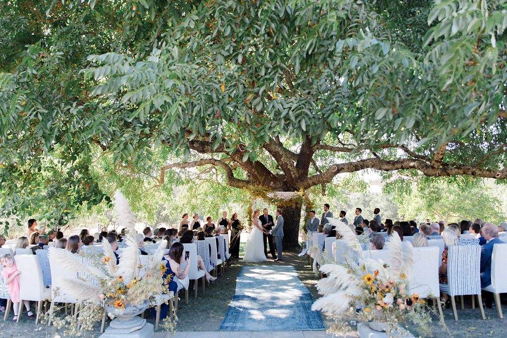Triple S Ranch massive 200 year old Walnut Tree to marry under. Venue Vixens