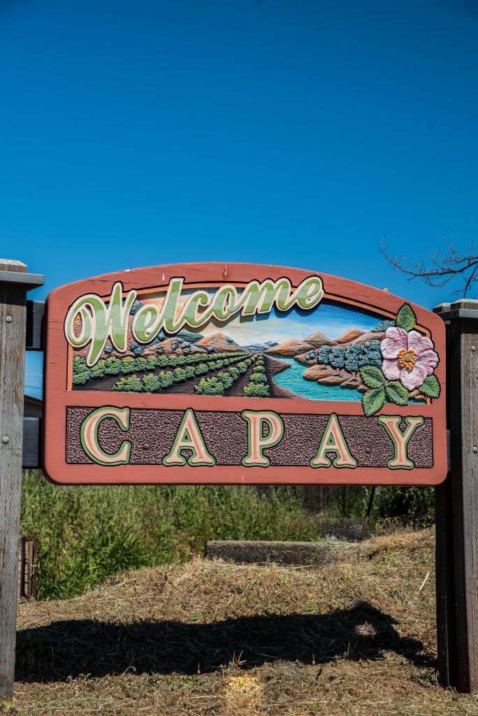 Seka Hills, Yolo County. Capay Valley sign.