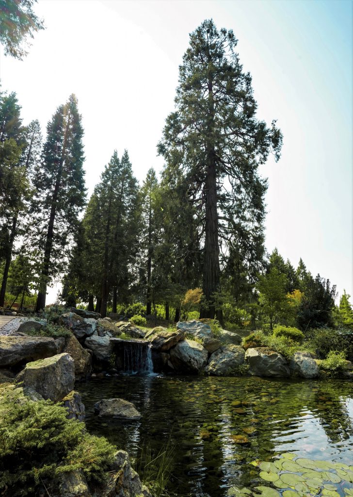 Sierra Banquet Center, Camino CA Lovely pond.