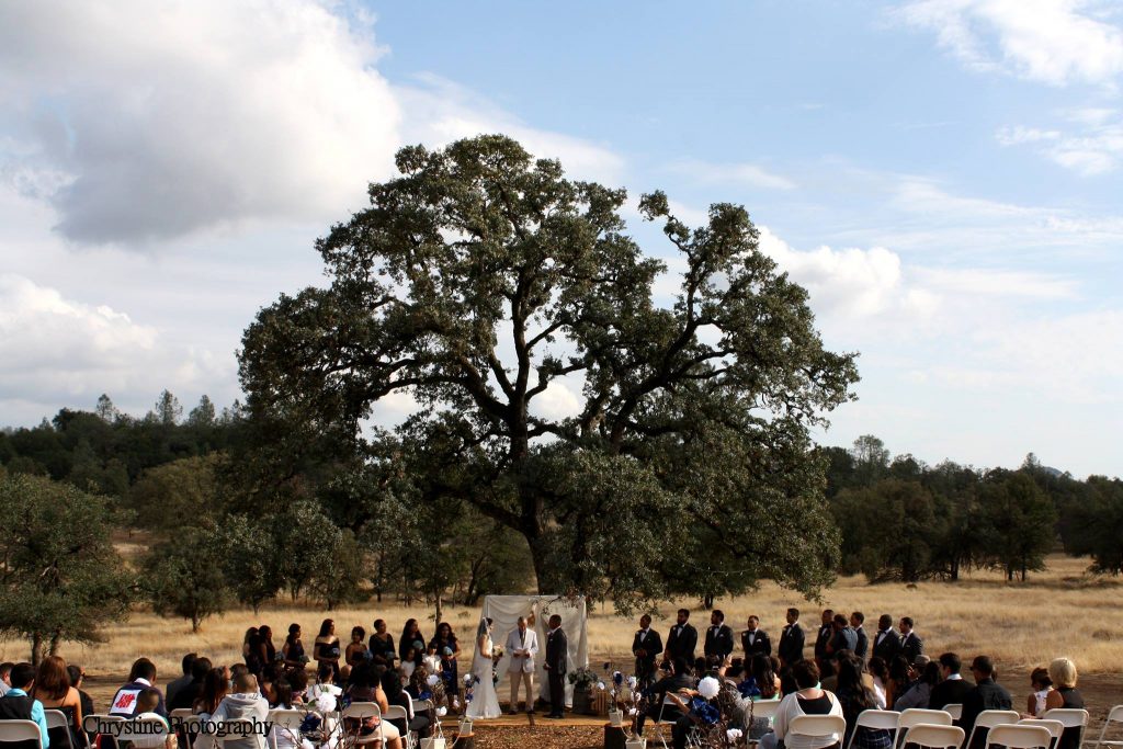 Vida Buena Farm, Calaveras County in gold country. Wedding under the heritage oak tree.