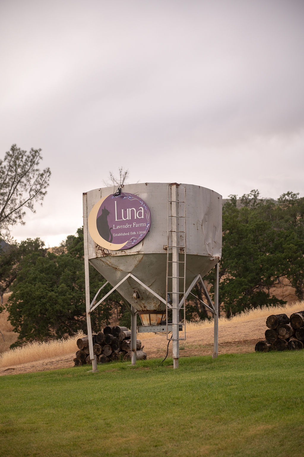 Luna Lavender Farms