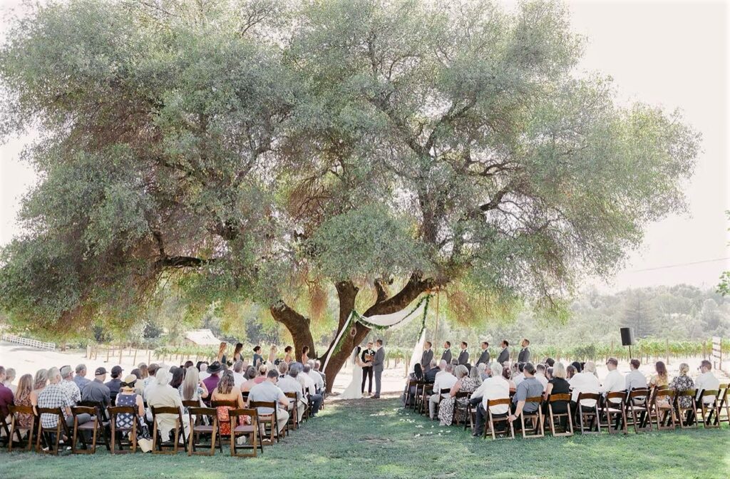 Mount Brown Vineyard Sonora Wedding Venue ceremony under tree