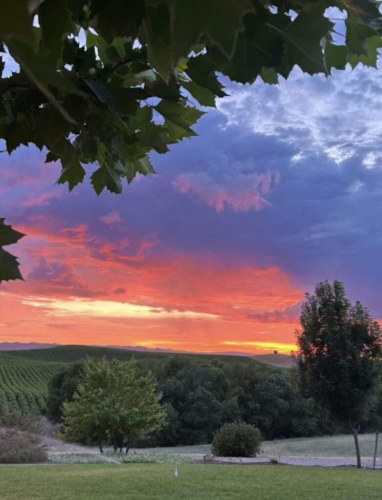 Zamora Hills Ranch, Yolo County. Sunsets and weather coming in.