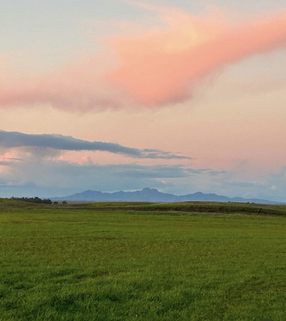 Zamora Hills Ranch, Yolo County. Sunset and the Sutter Buttes.