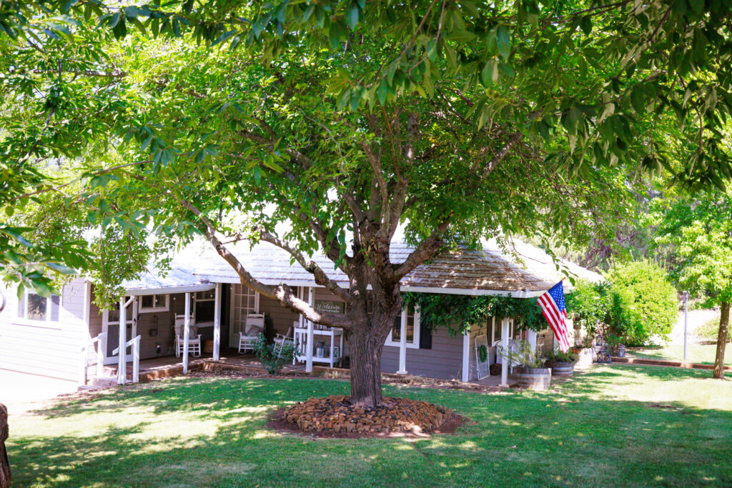 The White Barn at The Shenandoah Farmhouse. Amador County.