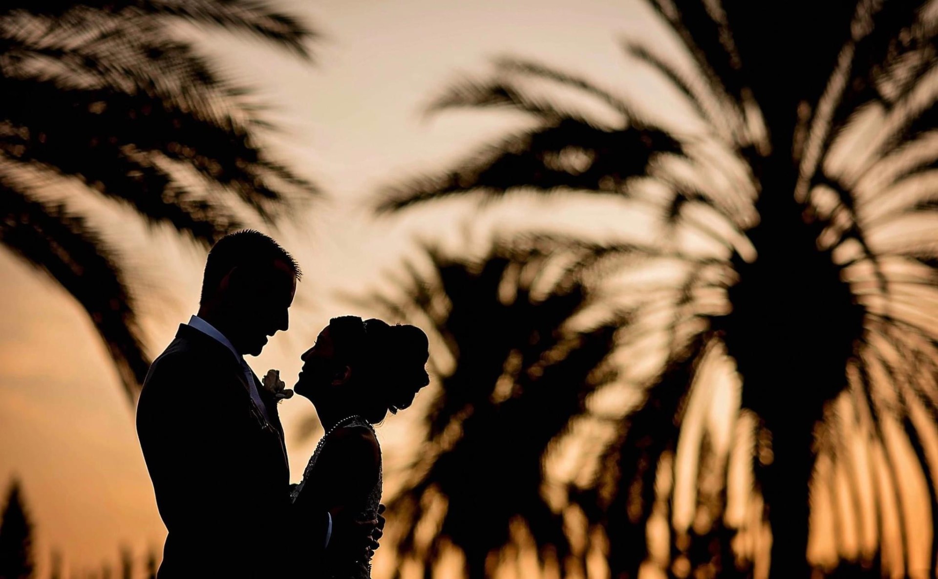 Vendor Showcase of The Freckled Photographer. Silhouette of bride and groom