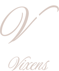 Venue Vixens logo