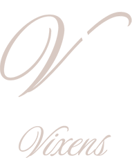 Venue Vixens logo