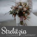 strelitzia flower company logo